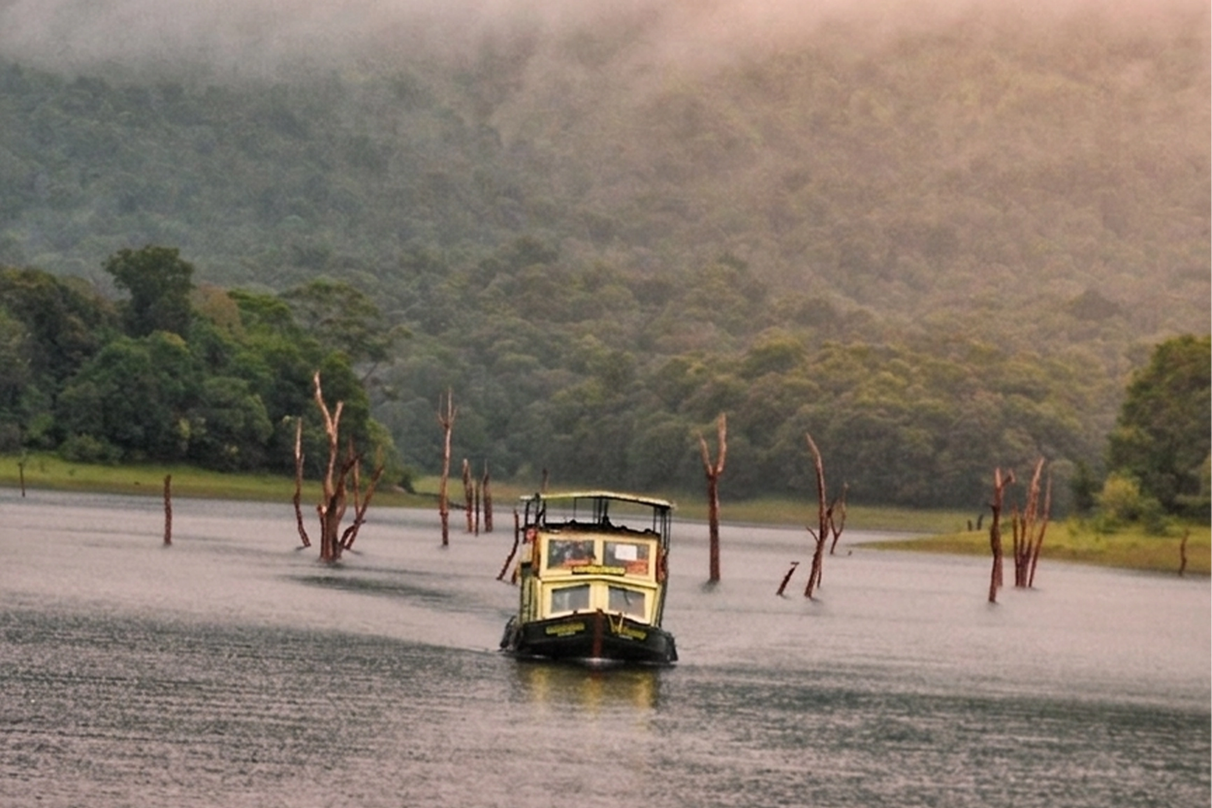 5 Days Munnar Thekkady Alleppey Package